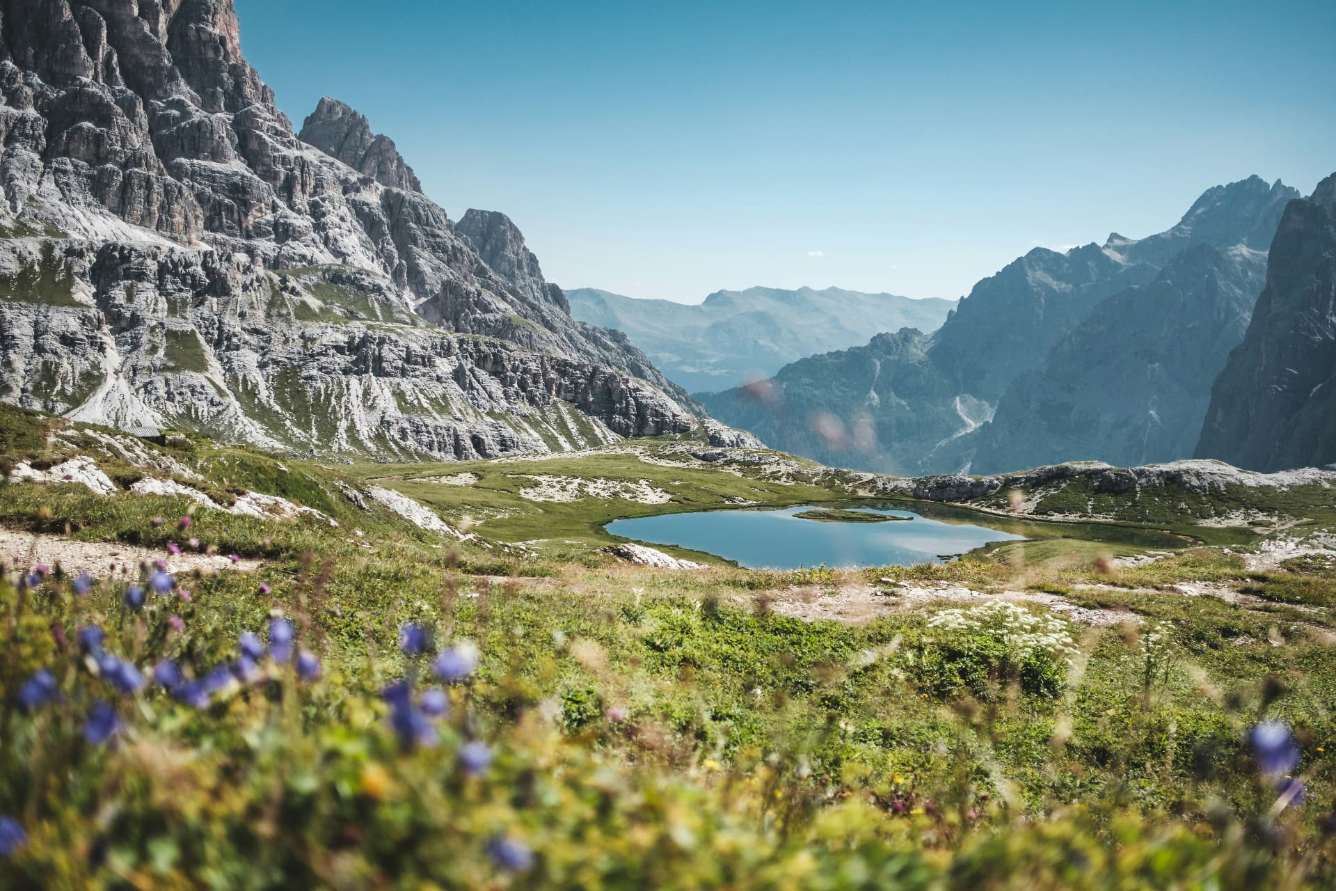 Alpine Sommerlandschaft mit Bergmassiv, Almwiesen und Wildblumen